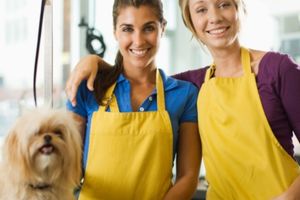 Curso-de-Peluqueria-para-Perros-en-Hotmart Curso de Peluquería para Perros en Hotmart