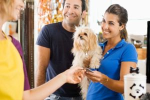 Curso-de-peluqueria-canina-en-Escuela-Animal Curso de peluquería canina en Escuela Animal
