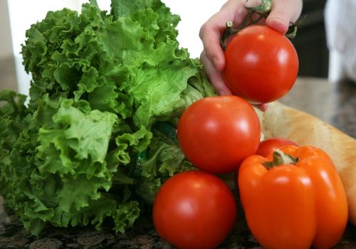 manipulación de alimentos Ina